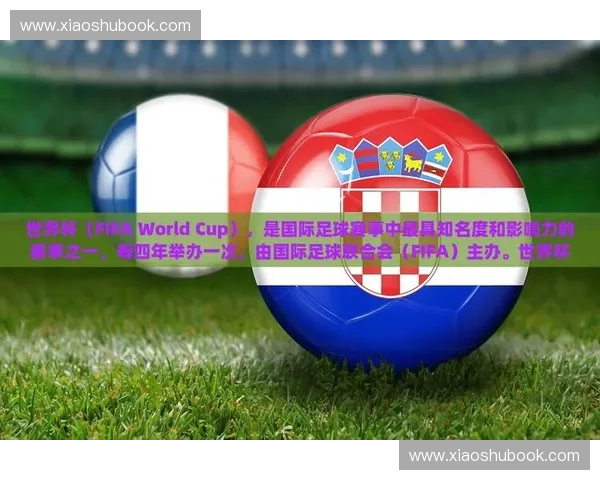 2000年世界杯回顾与影响解析足球盛事中的经典瞬间